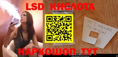 гашик Сланцы