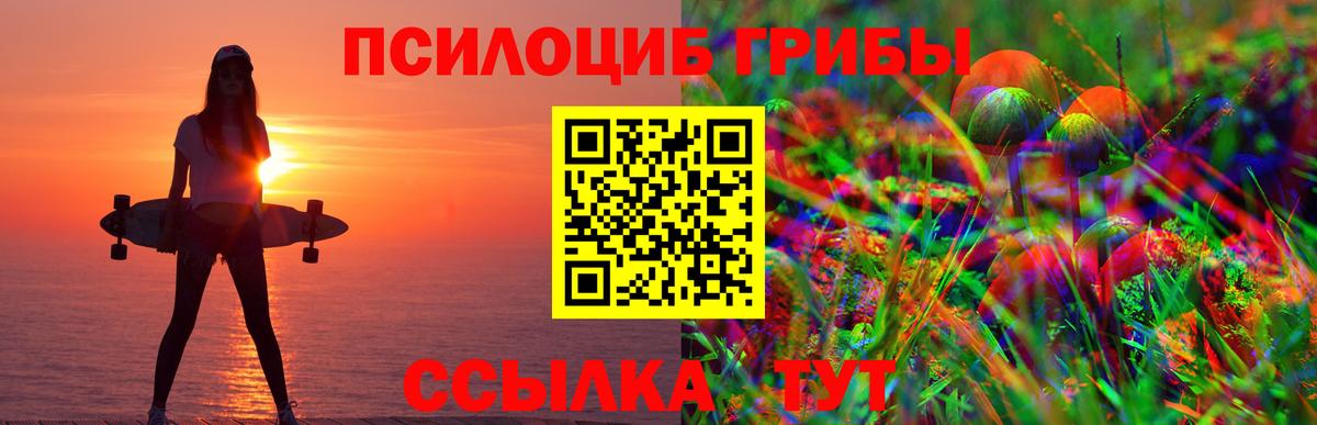 Галлюциногенные грибы Magic Shrooms Псков